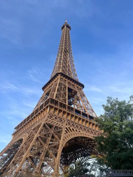 1000039377