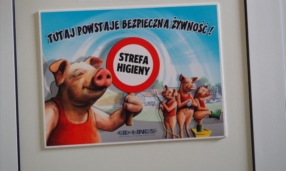 WycieczkaZawodowa