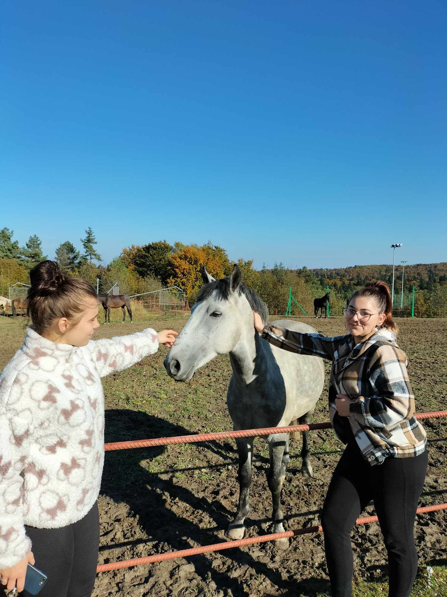 received_1262769087728970