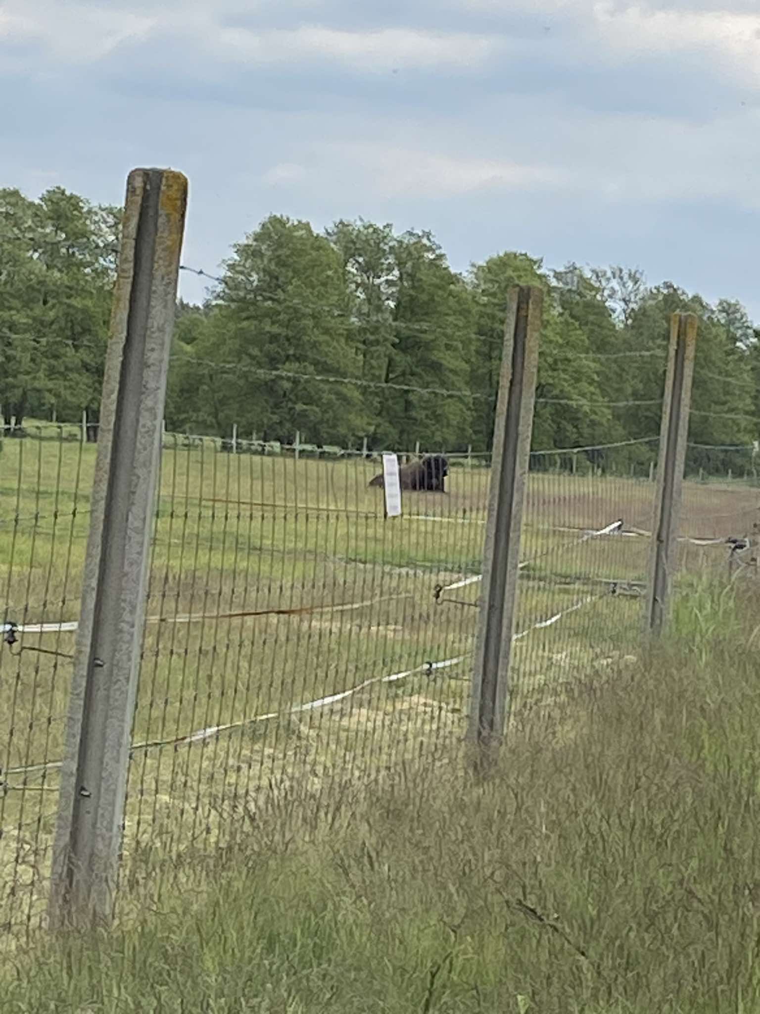 uij3jvx_