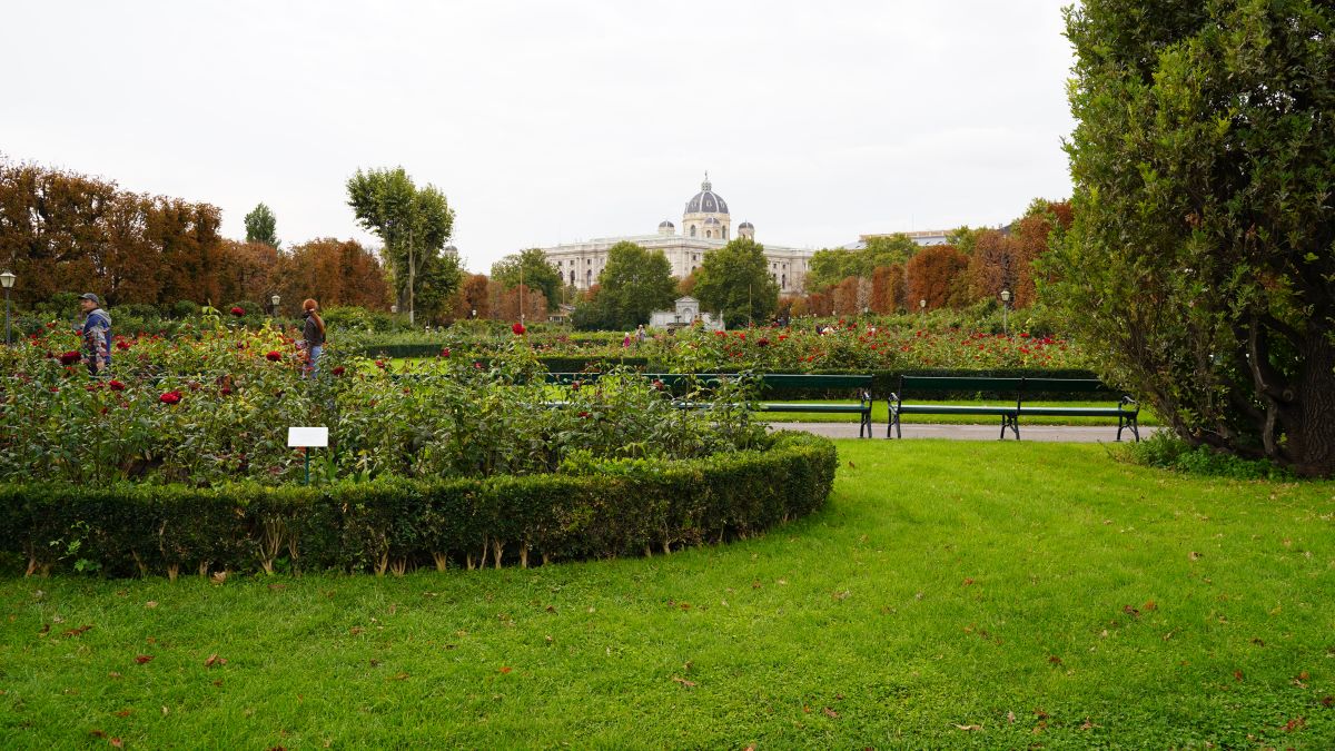 dsc05036