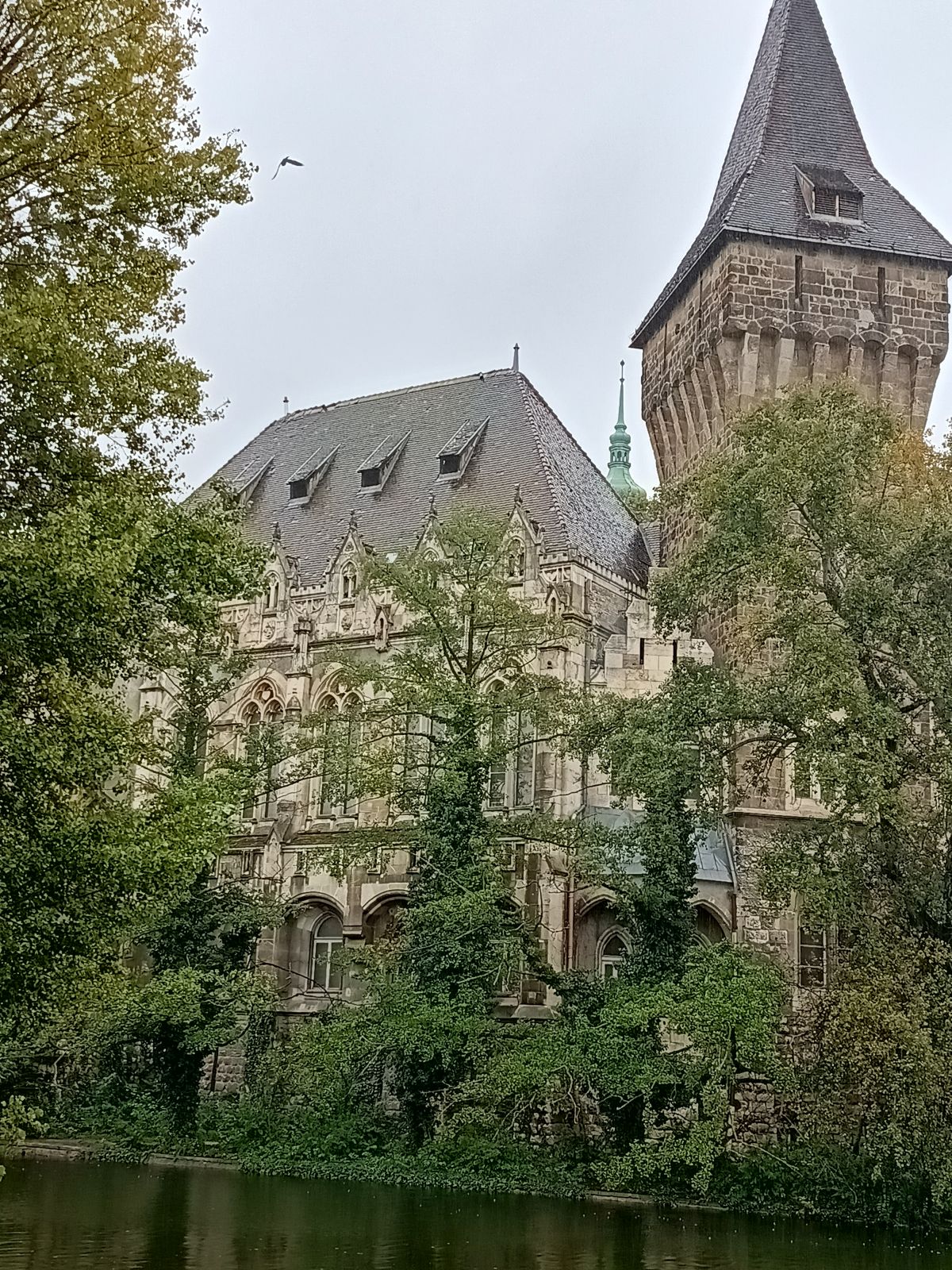 img_20241004_110110185_hdr